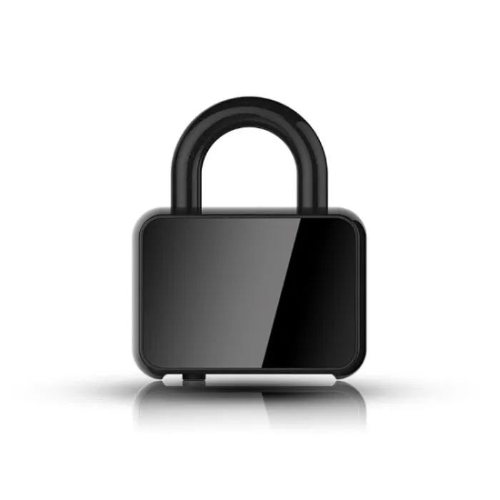 lock-recorder-khmis-chamtseri-boqlomis-formis-photo-3