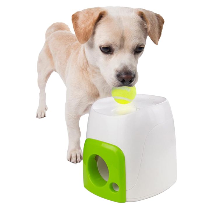 all-for-paws-fetchn-treat-burtis-sasroli