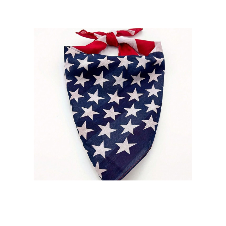 bandana-usa-flag-bendena-photo-2