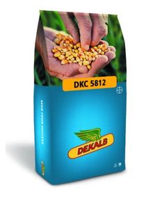 Product image of სიმინდის თესლი - დეკალბი DKC 5812 - FAO 550
