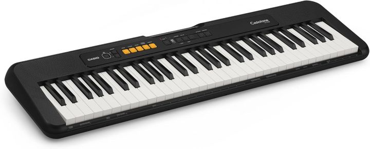 casio-ct-s100c2-sintezatori-adapterit-photo-3