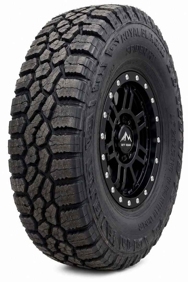royal-black-22575r16-qvela-sezonis-saburavi