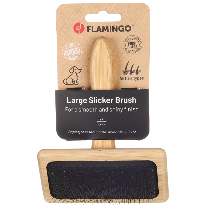 flagino-slicker-brush-babu-l-dzaghlis-savartskheli-photo-2
