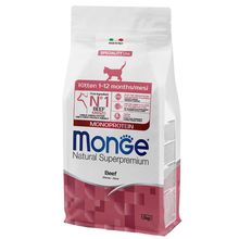 Product image of MONGE 1.5კგ მშრალი საკვები კნუტებისთვის - საქონლის ხორცი