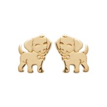 Product image of Earring / 23012000 ოქროსფერი ქალის საყურე Brass