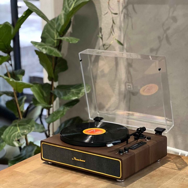 goka-rp12-firsakravi-photo-4