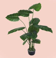 Product image of ხელოვნური მცენარე 150სმ