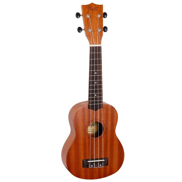 flight-nus310-ukulele