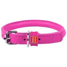 Product image of COLLAR ძაღლის საყელო