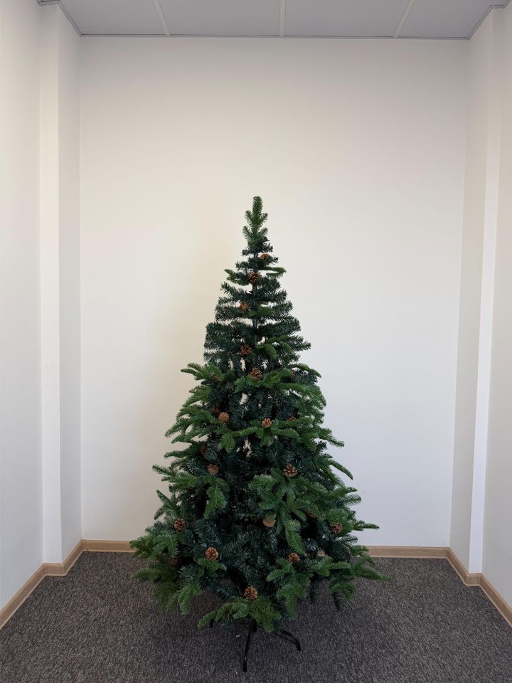 ctrim-nadzvis-khe-tsitsvebit-da-girchebit-photo-2