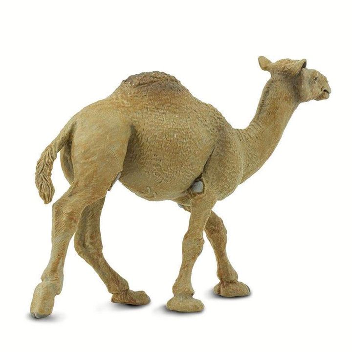 safari-dromedary-camel-toy-satamasho-figura-photo-3
