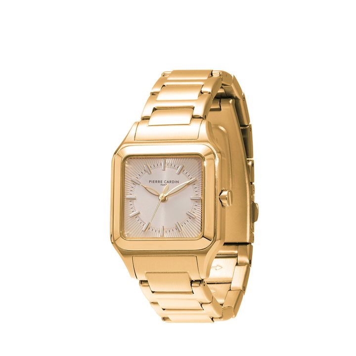 pierre-cardin-cf1024mg-qalis-saati