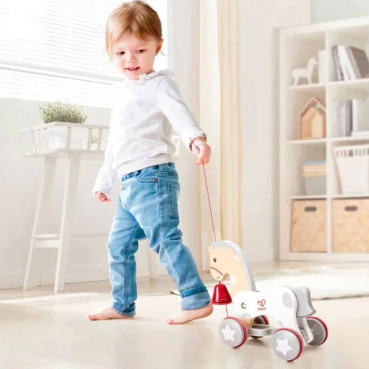 hape-pony-pull-along-khis-satamasho-photo-2