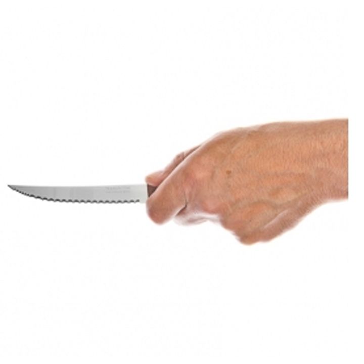 tramontina-22271205-tradicional-dana-steikis-photo-3