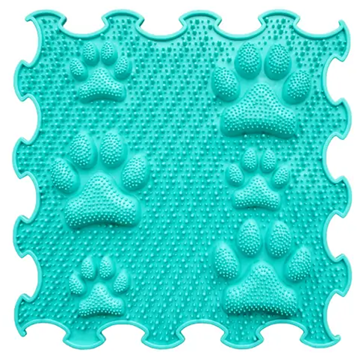 ortoto-lucky-paws-khalicha-fazli