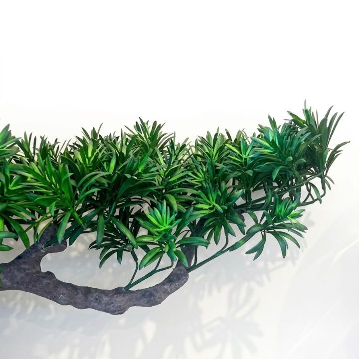 eterna--dekoratiuli-khe-bonsai-754045-photo-2