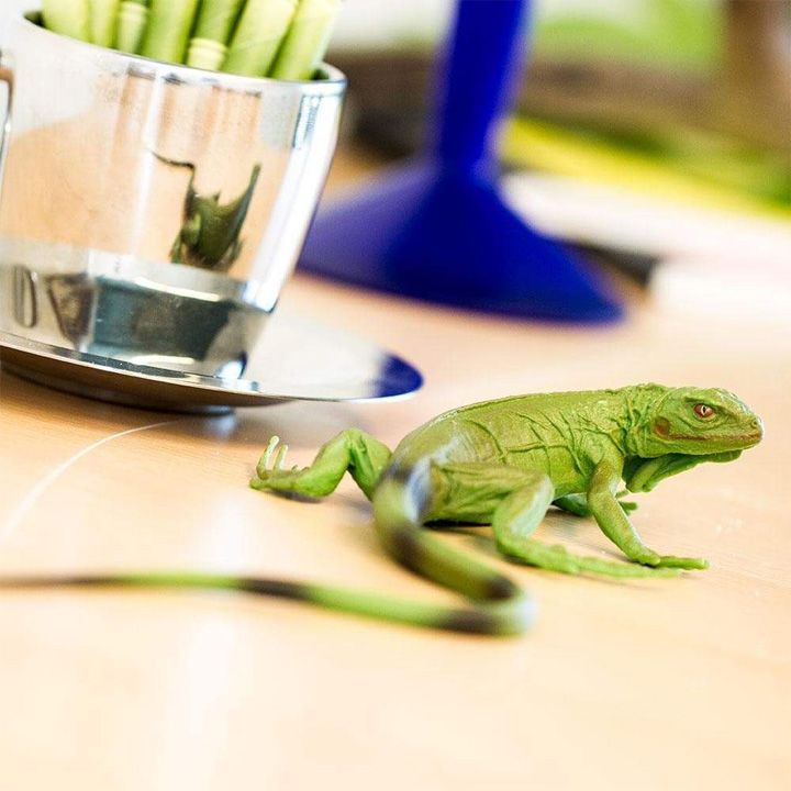 safari-iguana-baby-toy-satamasho-figura-photo-4