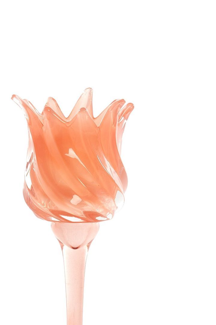 laboratory-my-home-sasantle-photo-2