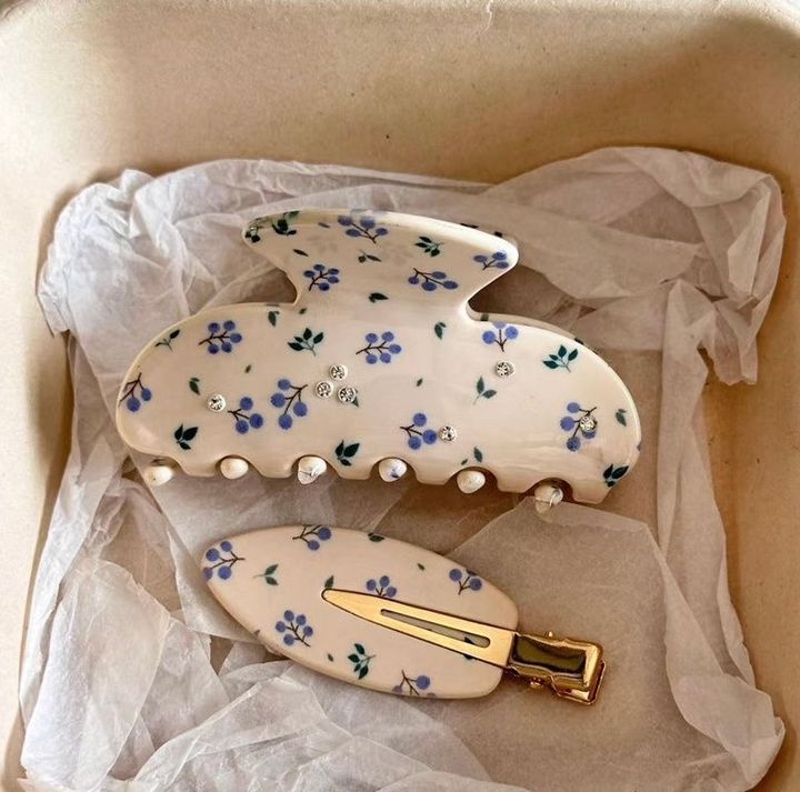 tmis-samagrebis-nakrebi2ts-french-beauty