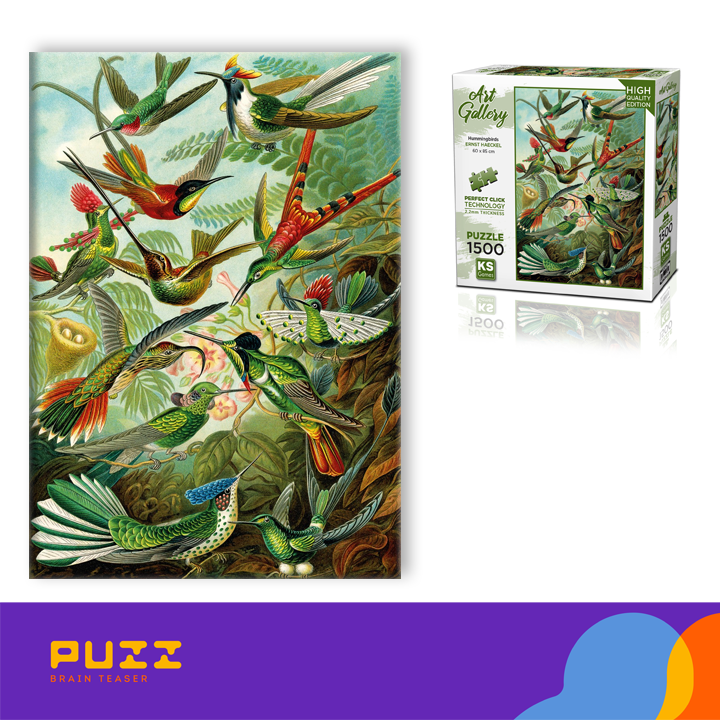 1500-detaliani-fazli---kolibrebi