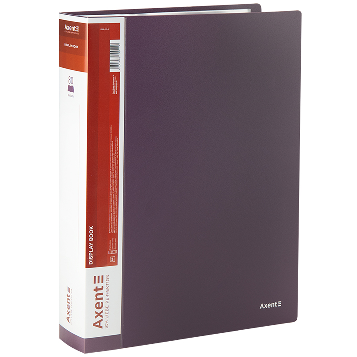 axent-saqaghalde-failebit-4-1280-11-a-80faili-iisferi