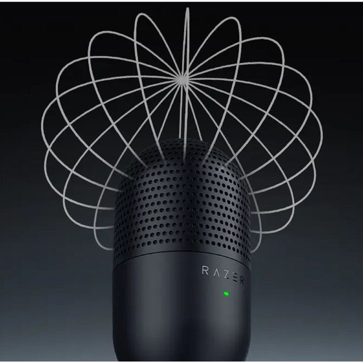 mikrofoni-razer-rz19-05050100-r3m1-seiren-v3-mini-microphone-type-c-usb-a-black-photo-4