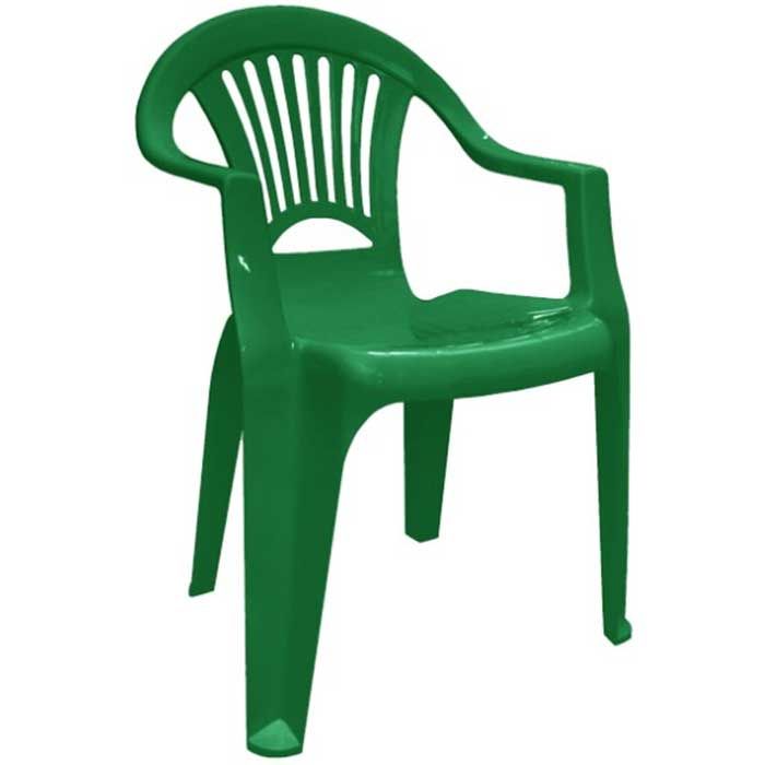 aleana-skhivi-mtsvane-plastmasis-skami
