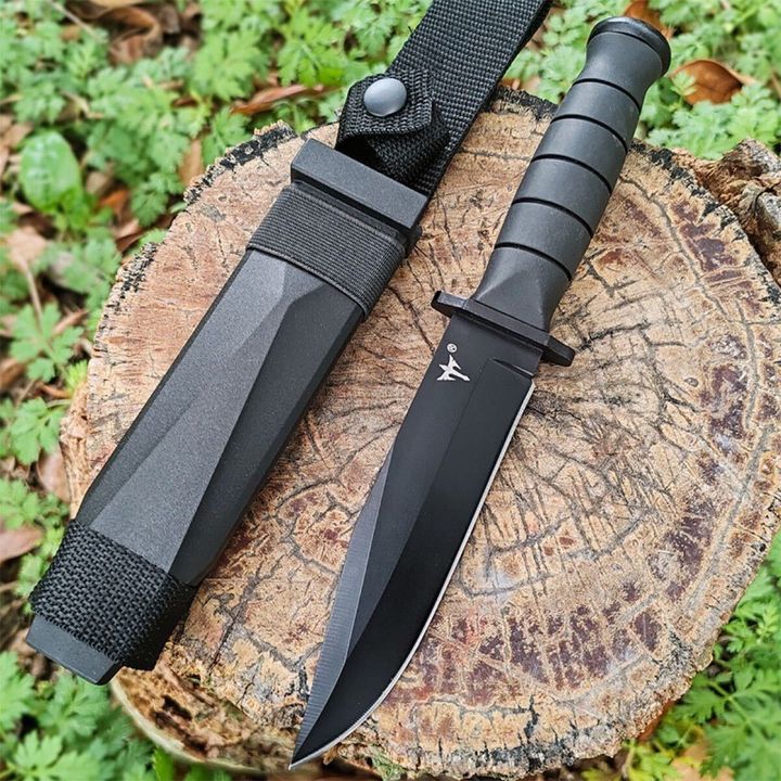 bat-dana-taqtikuri-photo-3