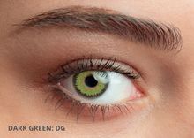 Product image of Trilogy Queens Dark Green (სოლეკო - იტალია)