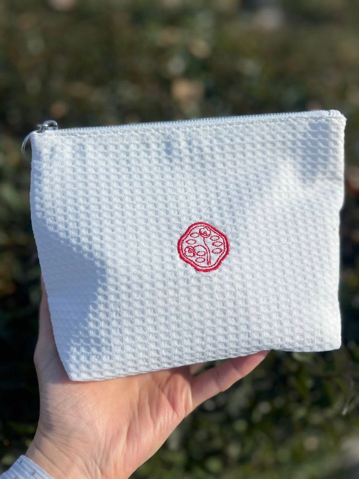 shiseido-kosmetikis-chanta-photo-2