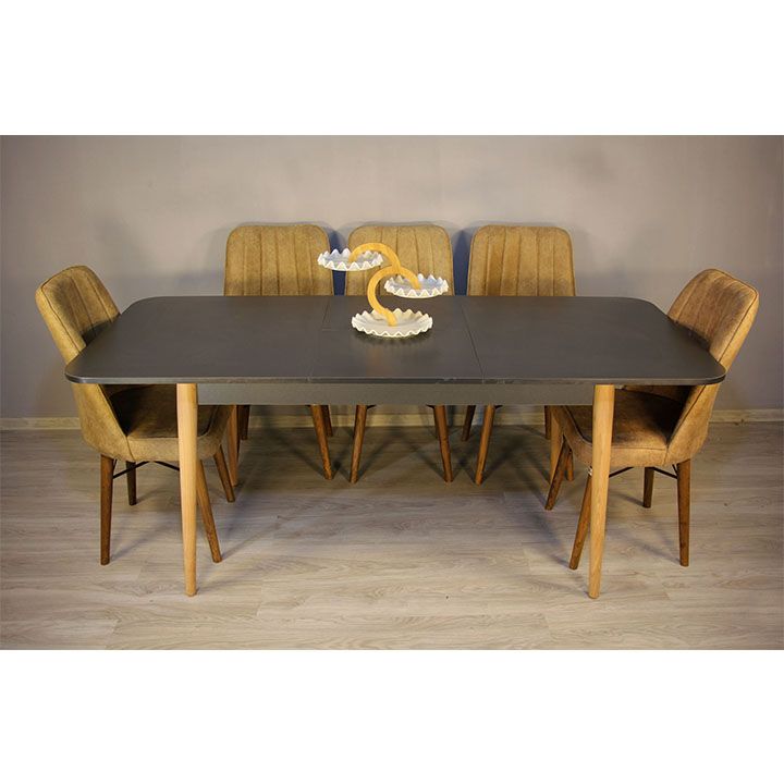 family-house-sasadilo-otakhis-gasashleli-magida-photo-2