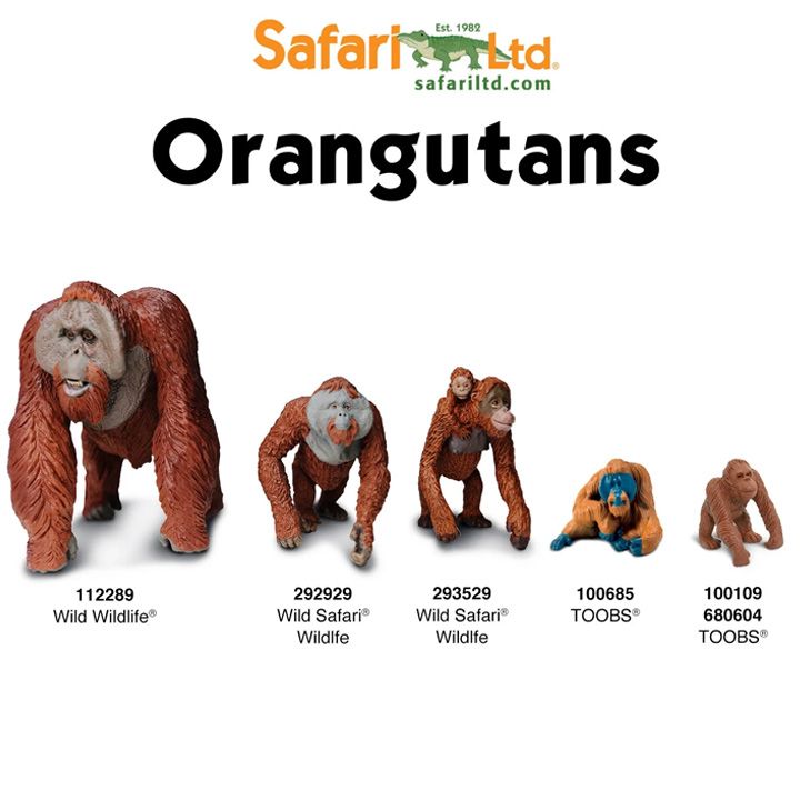 safari-endangered-species---land-satamasho-figurebi-photo-4