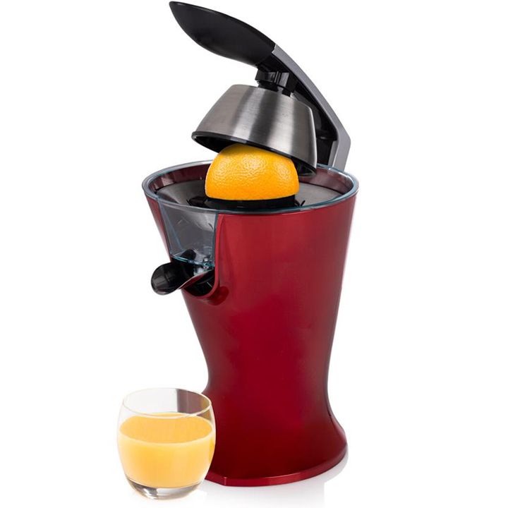 princess-tsitrusis-tsvensatsuri-photo-2