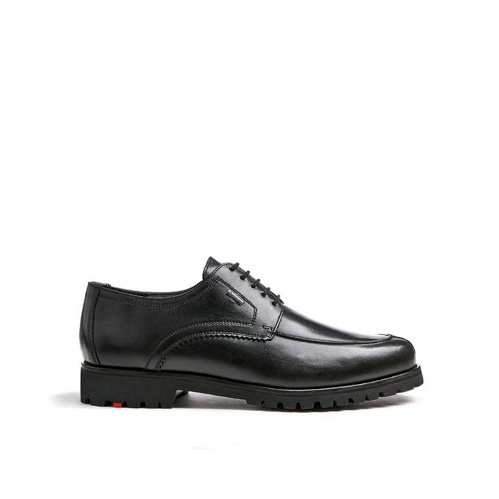 lloyd-8038-mamakatsis-fekhsatsmeli