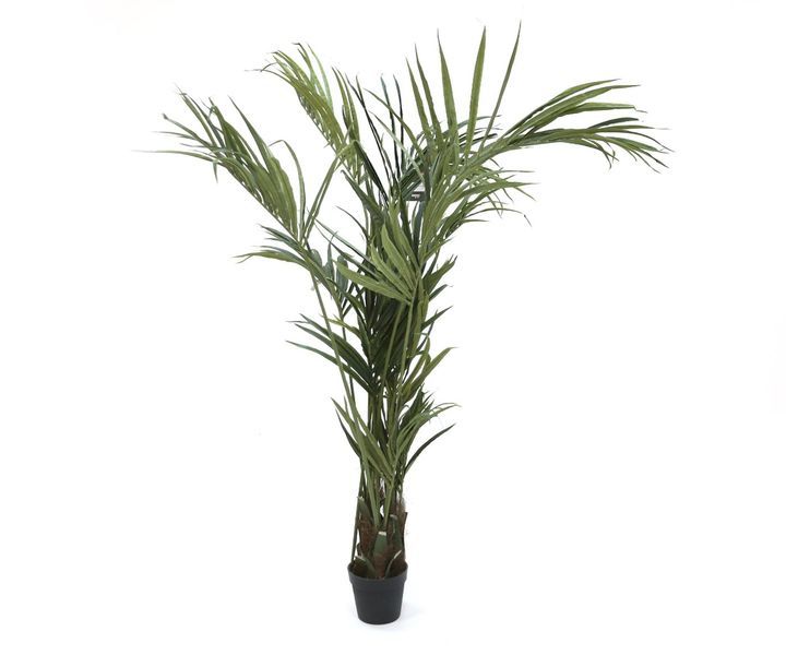 laboratory-my-home-khelovnuri-mtsenare