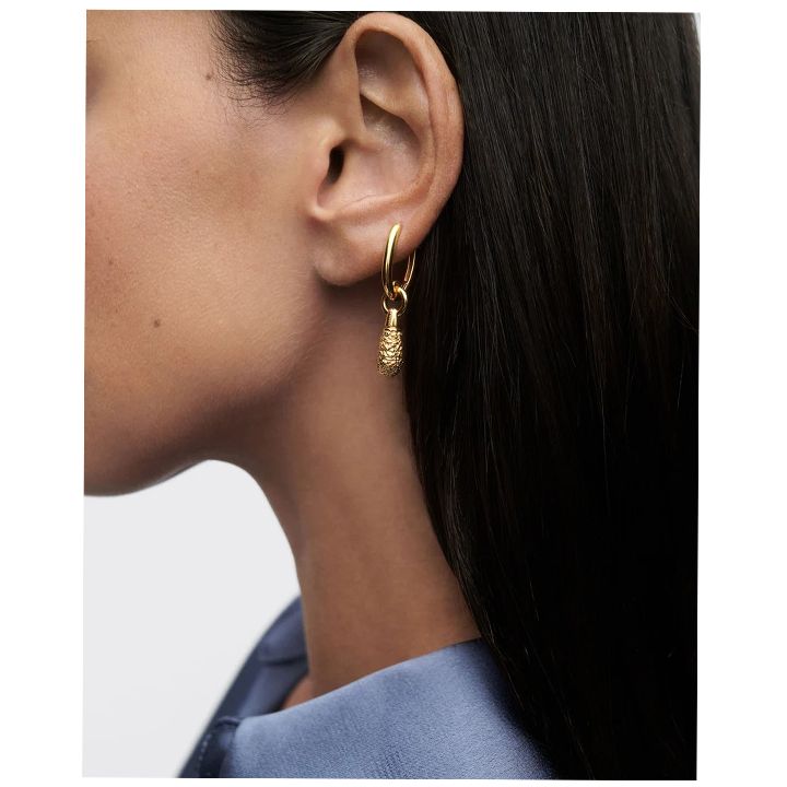 popcorn-jupiter-single-hoop-photo-4