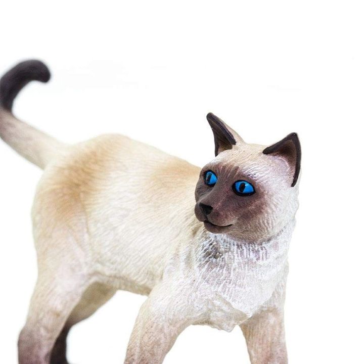 safari-siamese-satamasho-figura-photo-2
