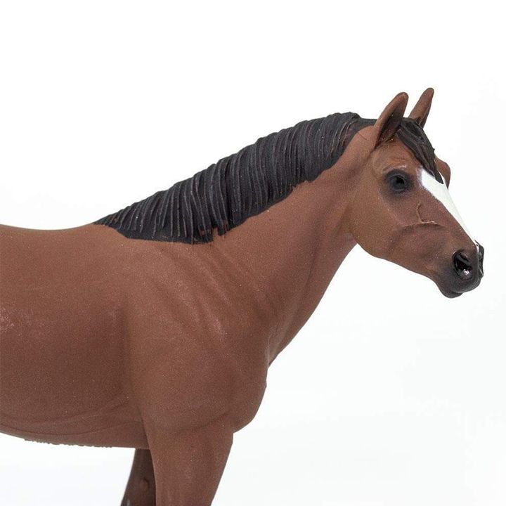 safari-quarter-horse-gelding-satamasho-figura-photo-4