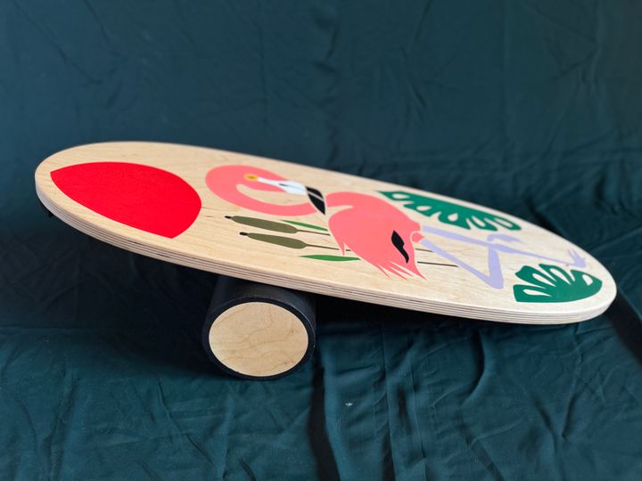 balansis-dafa-flamingo-photo-2