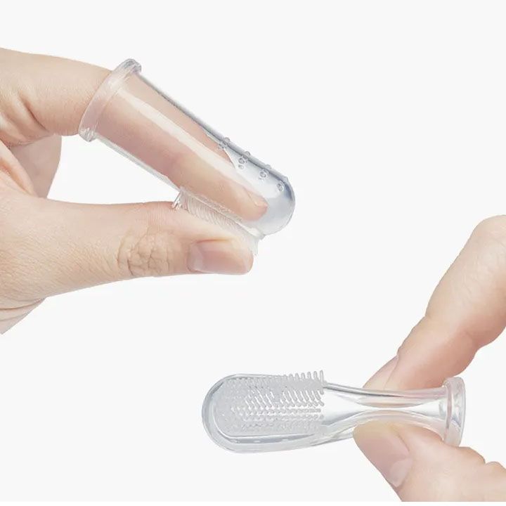 titis-kbilis-jagrisi-photo-3