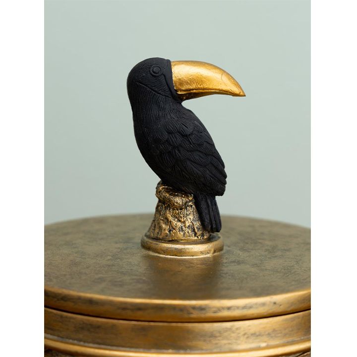 chehoma-zardakhsha-sakhuravit-photo-4