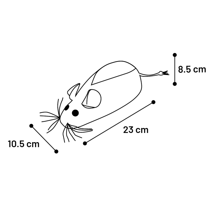 flamingo-katis-safkhachni-photo-2