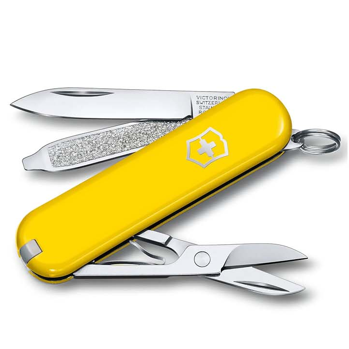 victorinox-dana-classic-sd
