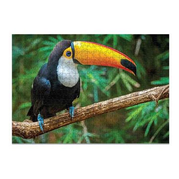 dodo-fazli-chiti-tukani-photo-2