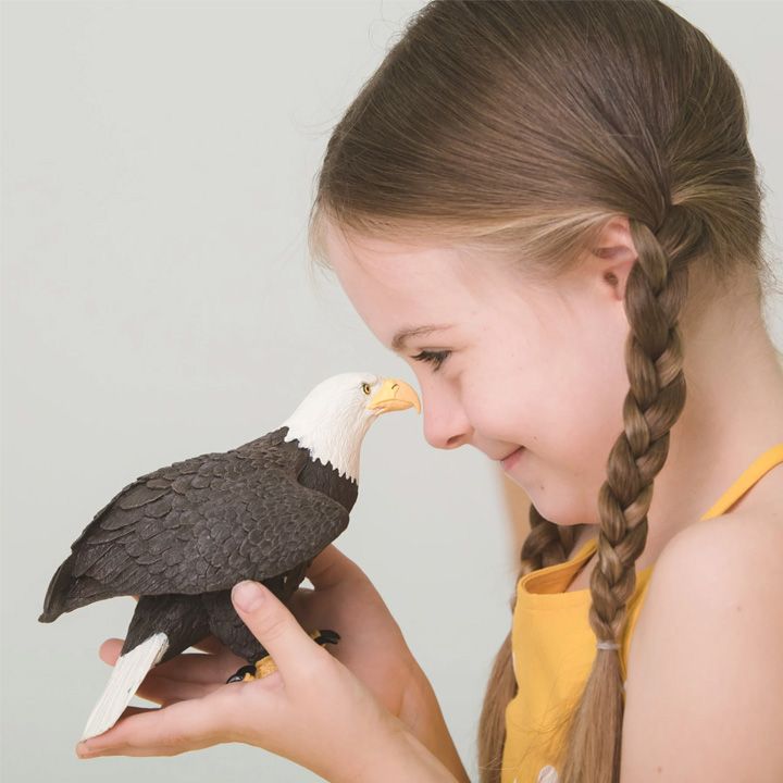 safari-bald-eagle-satamasho-figura-photo-3