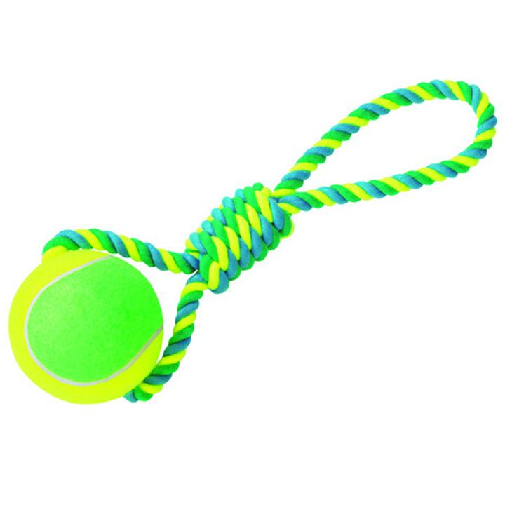 nobby-dzaghlis-satamasho