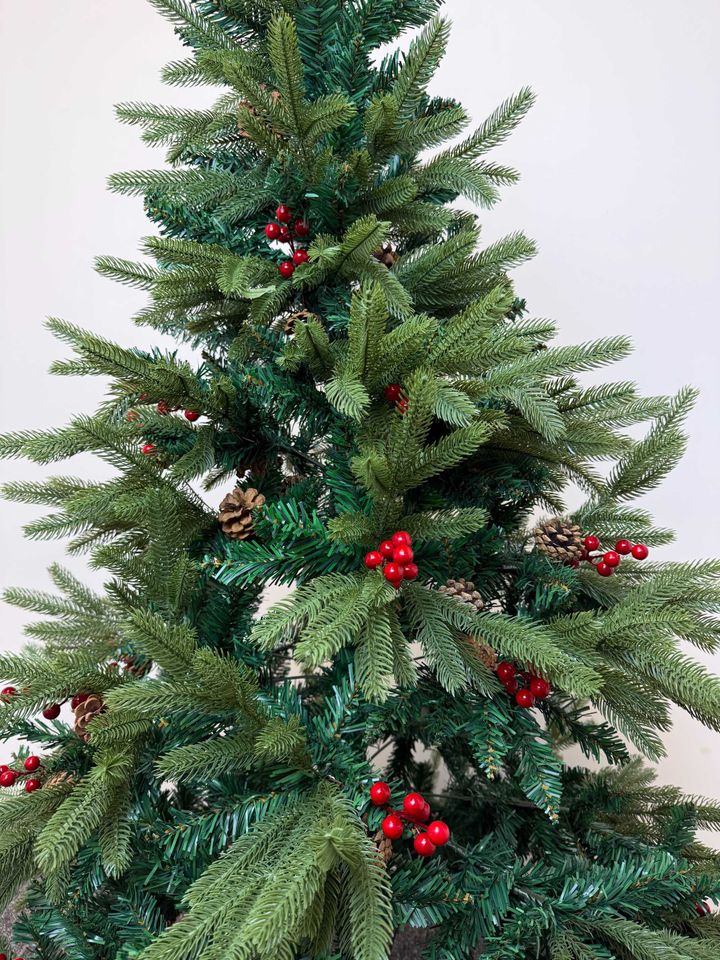 ctrim-nadzvis-khe-girchebit-da-kenkrit-photo-4