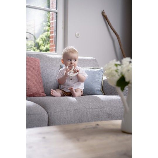 sophie-la-girafe-sopure-zhirafi-ghrdzilebis-masazhori-dzalian-rbili-0-photo-3