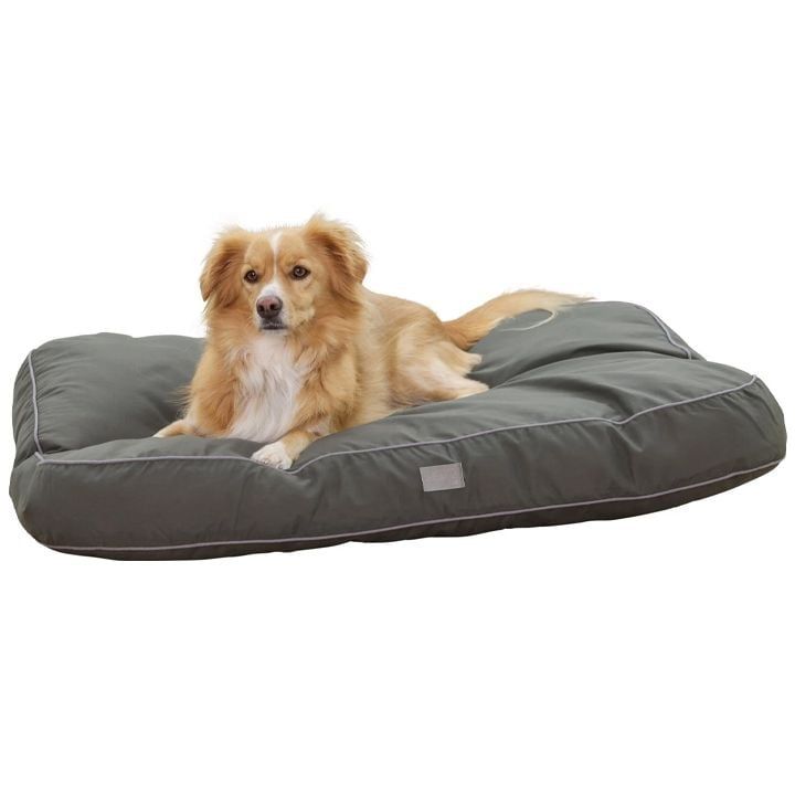 kerbl-dzaghlis-leibi-photo-3