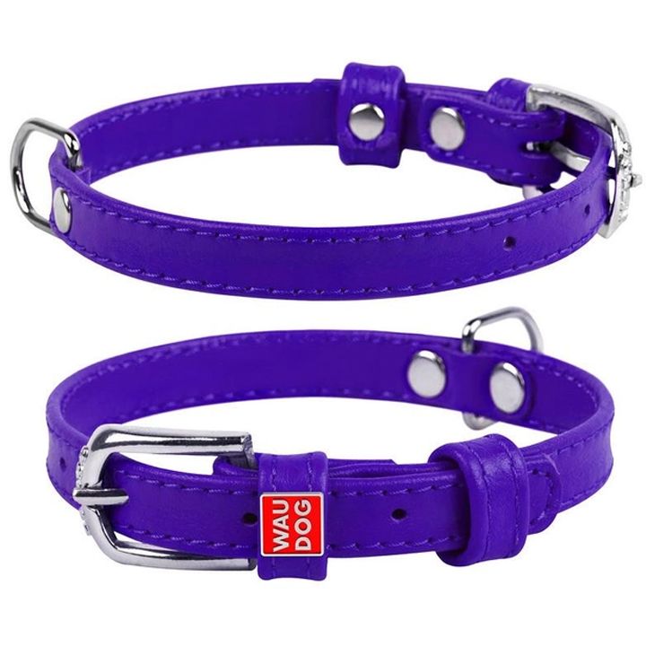 collar-dzaghlis-saqelo-photo-2